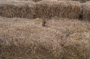 Doğal saman balyası duvarı tarımda ve tarımda kullanılan kuru saman dokusu oluşturur..