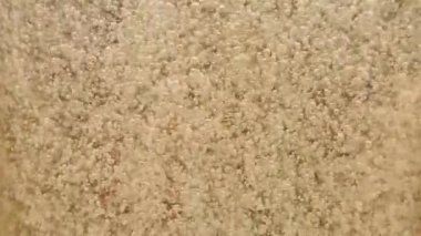 Altın Serum Damlacıkları Temiz Akışkan, Lüks Cilt Konsepti, Güzellik ve Sağlık, Sıvı ve Tazelik İçin Yüzüyor