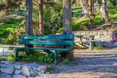 Atina, Yunanistan - 28 Kasım 2025 Yunanistan 'ın başkentinde yürüyüş ve fotoğraf çekimi.