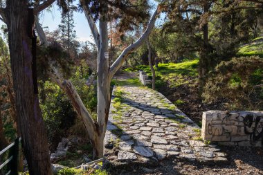 Atina, Yunanistan - 28 Kasım 2025 Yunanistan 'ın başkentinde yürüyüş ve fotoğraf çekimi.