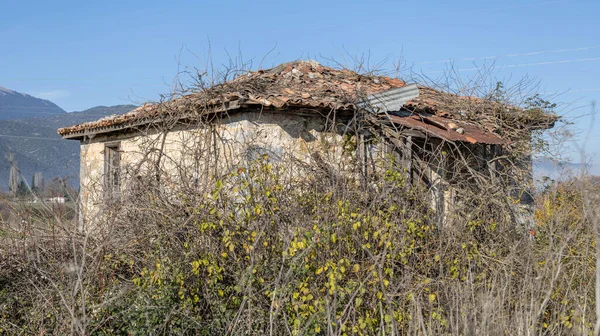 Mantineia, Yunanistan - 11 Aralık 2025 Mantineia, Tripolis kenti yakınlarındaki kırsal alan..