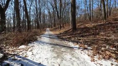 Güneşli Ocak gününde parkta karlı ve buzlu patikada yürüyüş yapmak