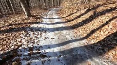 Güneşli Ocak gününde parkta karlı ve buzlu patikada yürüyüş yapmak