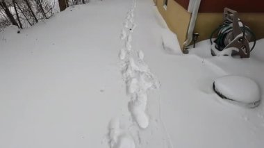 Ocak ayında karla kaplı olarak yolda yürürken.