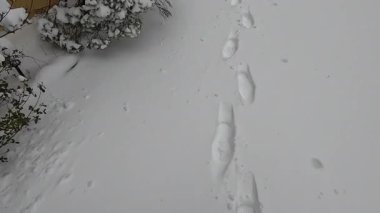 Ocak ayındaki kar fırtınasından sonra yolda yürüyoruz.