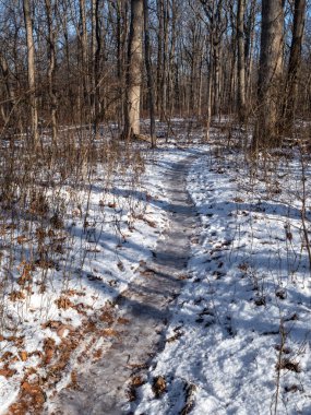 Kışın karla kaplı ormanda yol.
