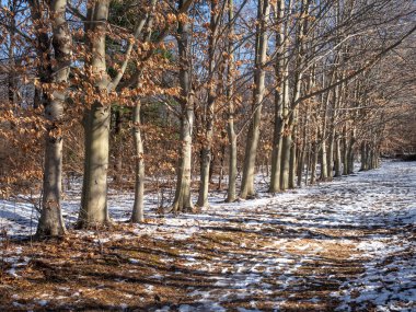 in the reservation covered with snow in winter