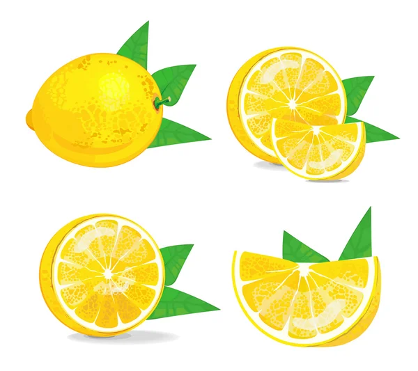 Limon limon vektör izole. Beyaz arka plan üzerinde kompozisyon limon. Sulu limon, vektör çizim — Stok Vektör