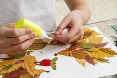 Girl makes an application from dry leaves. Children applique on the autumn theme. Hedgehogs and apple clipart