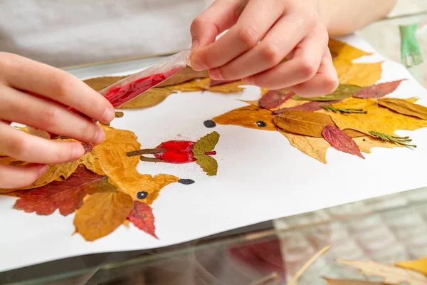 Kız kuru yapraklardan başvuru yapıyor. Çocuklar sonbahar temasına başvururlar. Kirpiler ve elma.