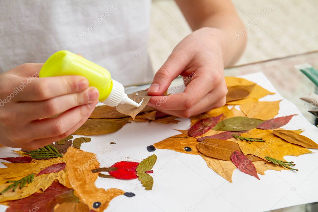 Girl makes an application from dry leaves. Children applique on the autumn theme. Hedgehogs and apple