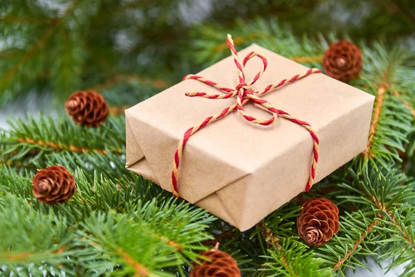 Noel hediyesi kutusu, içinde kozalaklar olan köknar dalları. Yakın çekim, seçici odaklanma