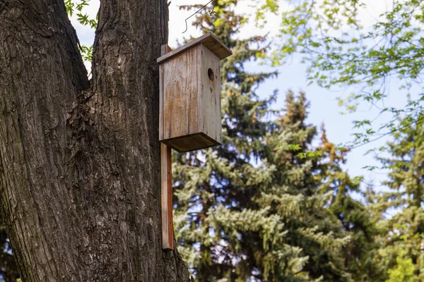 Casa Uccelli Legno Fatta Mano Albero Nel Parco — Foto Stock