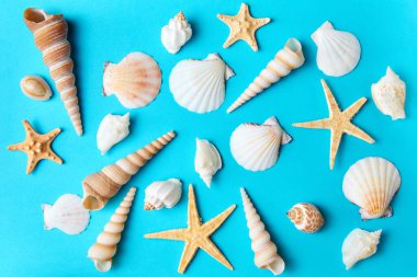 Yaz arkaplanı olarak mavi bir zemin üzerinde çeşitli deniz kabukları ve deniz yıldızları seti