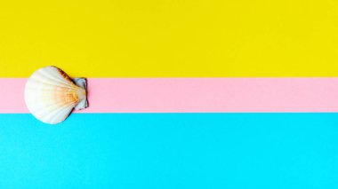Kopya alanı ile en az renkli arkaplan üzerinde egzotik deniz kabuğu