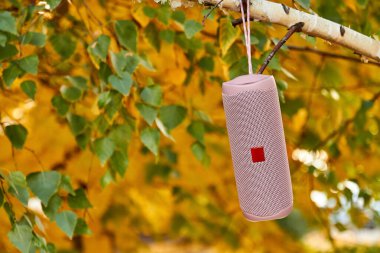 Sonbahar huş ağacının yaprakları arasında şehirde taşınabilir pembe kablosuz hoparlör. Yakın çekim, seçici odaklanma