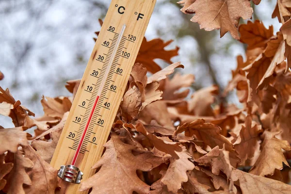 Akçaağaç Yapraklarındaki Yapımı Alkol Termometresinin Yakın Çekim Fotoğrafı Derece Celsius — Stok fotoğraf