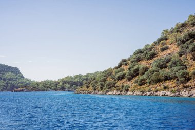 Bereketli yeşilliği ve mavi gökyüzünün altındaki uzak dağ sırasıyla Rocky sahili.. 