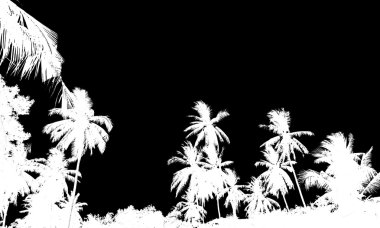 Yüksek kalite siluetleri Coco tropikal plaj avuç bir grup