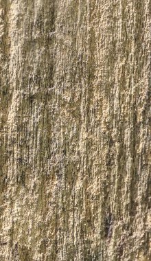 Kahverengi ağaç kabuğu, ağaç dokusu, ahşap desen.