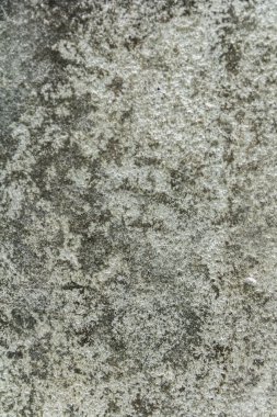 grunge beton duvar arka planı