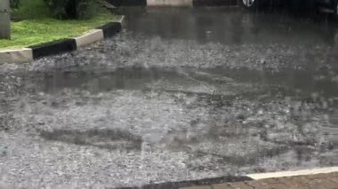 Heavy Rain During Summer Storm. Raining Day In The City At The Summer Time. Heavy Rain On Road In The Parking. High quality 4k footage