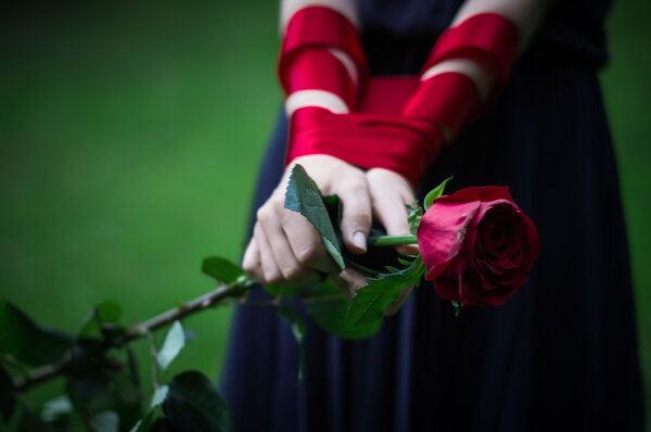 Knitted female hands holding red rose in park