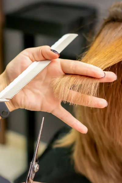 Close Back View Hairdresser Cuts Red Brown Hair Young Woman — Stock Photo, Image