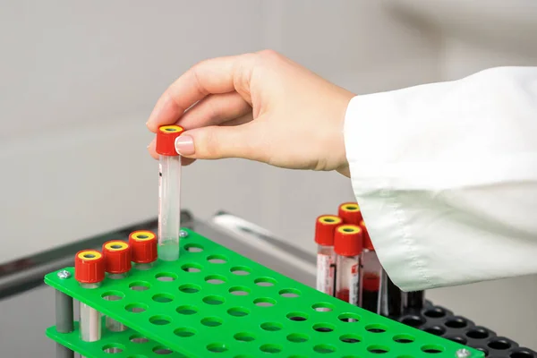 Hand Lab Technician Nurse Takes Empty Blood Test Tube Rack — Stock Photo, Image