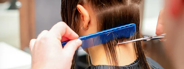 Rückenansicht Der Hände Eines Männlichen Friseurs Schneidet Der Jungen Frau — Stockfoto