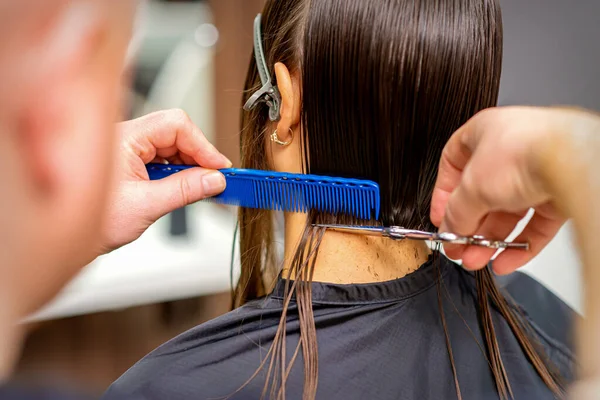 Rückansicht Eines Männlichen Friseurs Schneidet Haare Einer Jungen Frau Mit — Stockfoto