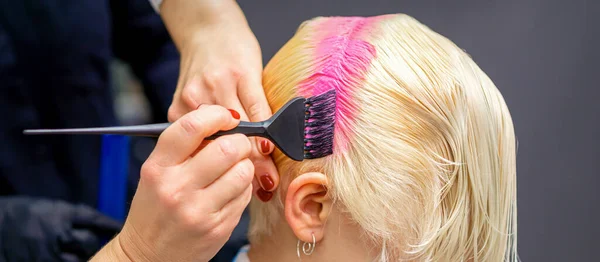 Hand Mit Pinsel Färbt Weiße Haare Einer Frau Rosa Farbe — Stockfoto
