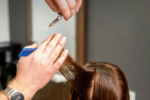 Cabeleireiro Fêmea Que Faz O Corte De Cabelo Masculino Com a Lâmina  Elétrica Do Cabelo No Salão De Beleza Do Cabeleireiro No Ar L Video Estoque  - Vídeo de aparamento, beleza: 118284439