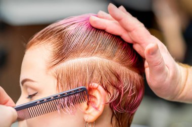 Saç tarayan erkek kuaför. Güzellik salonunda beyaz bir kadın için kısa pembe saç stili yapıyor.