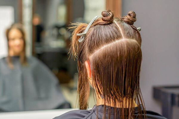 Back view of young brunette woman with split hair in sections in a hair salon