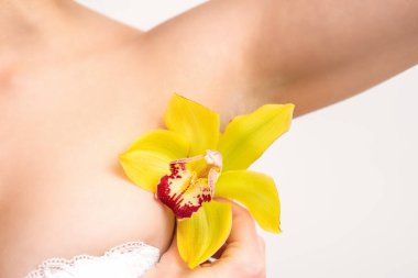 Koltukaltı epilasyonu. Beyaz arka planda sarı zambak çiçeğiyle dişi koltukaltını kapat.