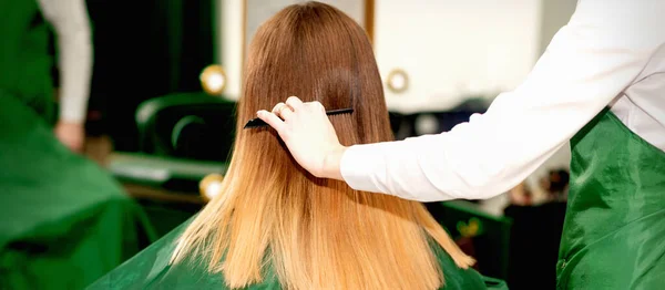 Vista Posteriore Del Parrucchiere Femminile Pettinando Capelli Lunghi Del Giovane — Foto Stock