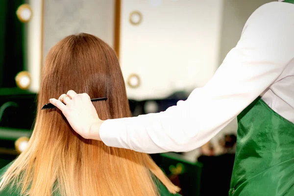 Powrót Widok Kobieta Fryzjer Czesanie Długie Włosy Młody Blond Klient — Zdjęcie stockowe