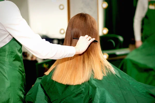 Zadní Pohled Ženský Kadeřník Česání Dlouhé Vlasy Mladé Blondýny Klienta — Stock fotografie