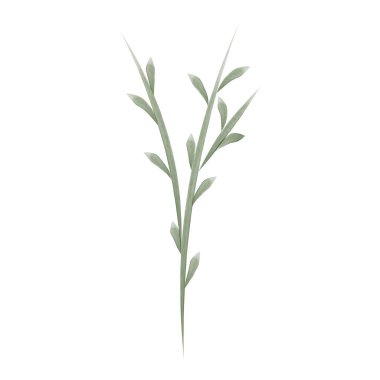 This is a watercolor-style vector graphic featuring a single, green flower stem with small leaves. It is isolated against a plain white background.