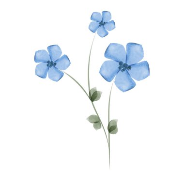A delicate watercolor rendering shows a single stem with three blue flowers and a few green leaves against a plain white background. The style is simple and elegant.