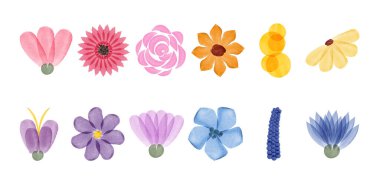 A collection of twelve colorful floral illustrations are rendered in watercolor style. Flowers have shades of pink, yellow, orange, blue and purple.