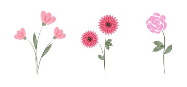 Three different pink watercolor flower illustrations are shown on a white background. Each has a stem and green leaves. The flowers are pink with artistic detail.
