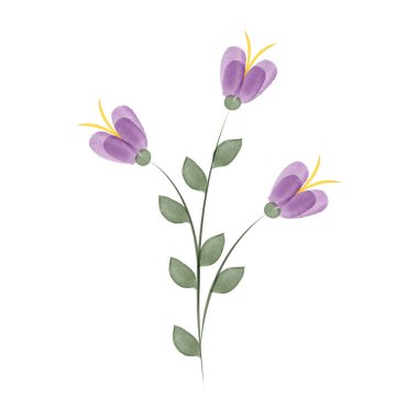 Basit bir suluboya vektör çizimi üç mor çiçek ve yeşil yapraklı tek bir kökü gösteriyor. Bu sanatsal tasarım, çevre dostu tasarıma doğal bir dokunuş katıyor..