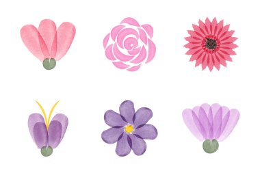 Pembe, kırmızı ve mor renkler de dahil olmak üzere altı güzel suluboya çiçek, beyaz bir arkaplanda sanatsal olarak düzenlenmiştir. Korunma ve sürdürülebilirlik için çok değerli temel unsurlar.