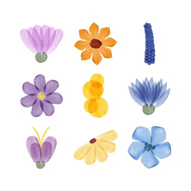 Renkli bir suluboya çiçek çeşidi sergilenmektedir. Set, temiz, parlak beyaz bir arkaplan karşısında sunulan farklı renkler ve sanatsal tarzları içerir..