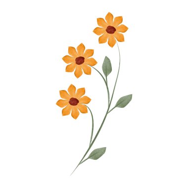 Üç parlak turuncu suluboya çiçek küçük yeşil yapraklı tek bir saptan yetişir. Basit vektör sanatı beyaz arkaplanda sunulur.