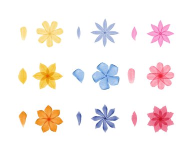 Çok sayıda farklı suluboya çiçekleri ve tek tek taç yaprakları sıralanmıştır. Her çiçek ve taç yaprağı, sarı, mavi ve pembe gibi canlı renklerde yumuşak, şeffaf yıkamalarla boyanır..