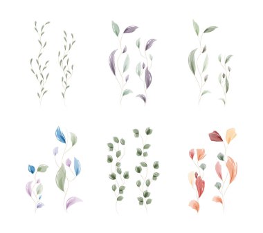 Altı farklı el boyası suluboya yaprak seti çeşitli yaprak şekilleri ve renkleri olan hassas dallar içerir..