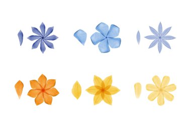 Canlı bir suluboya çiçek ve taç yaprakları gösterisi. Mavi, mor, turuncu ve sarı olmak üzere altı farklı çiçek deseni var..